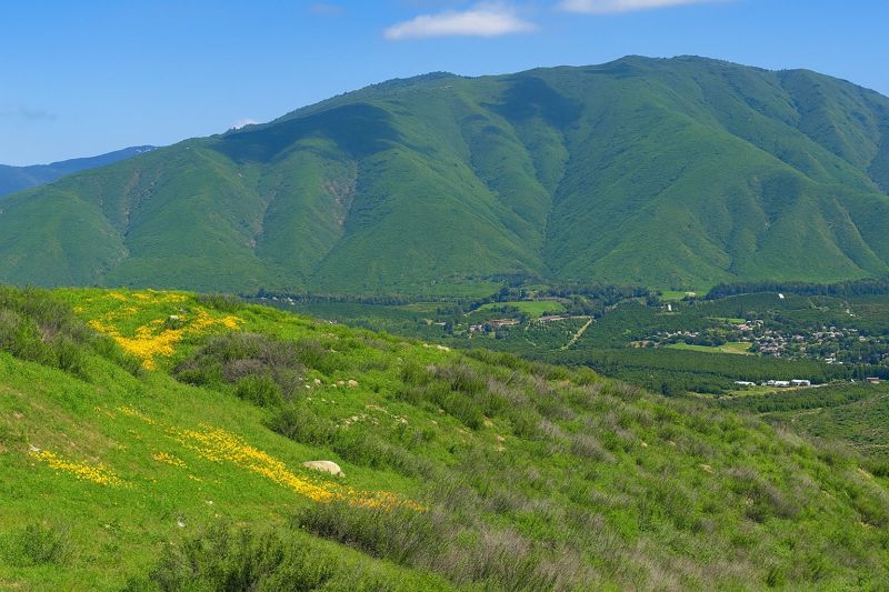 Best Shower Installation pros in Valley Center, CA